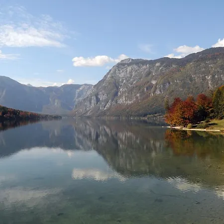 Апартаменты Dijak