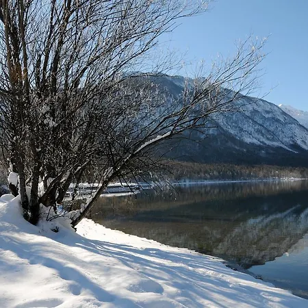 Dijak Lejlighed Bohinj