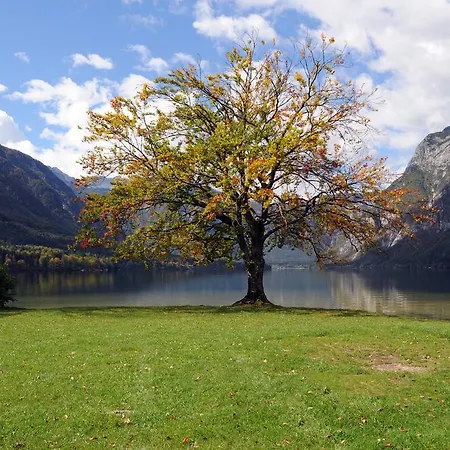 Апартаменты Dijak *