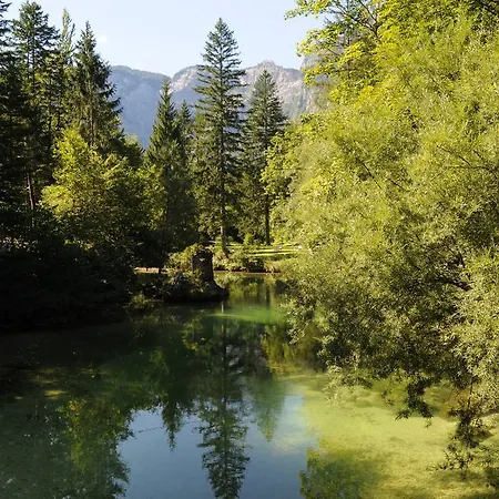 Dijak Bohinj