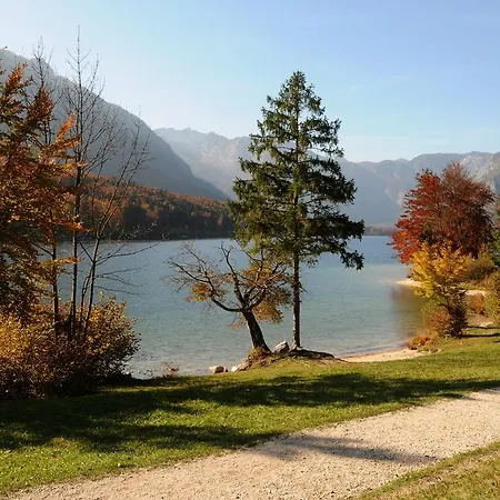 アパート ディヤック *