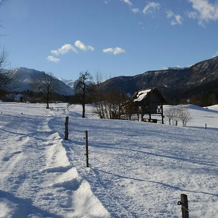 Dijak Lejlighed Bohinj