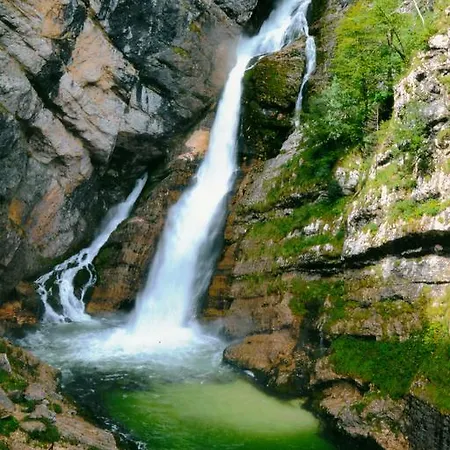Dijak * Bohinj