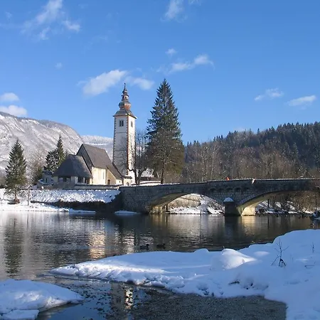 Dijak * Bohinj
